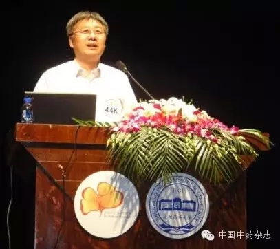 2014年中药领域高被引学者